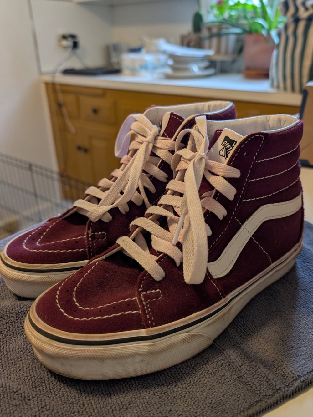 Vans Sk8 Hi high top shoes